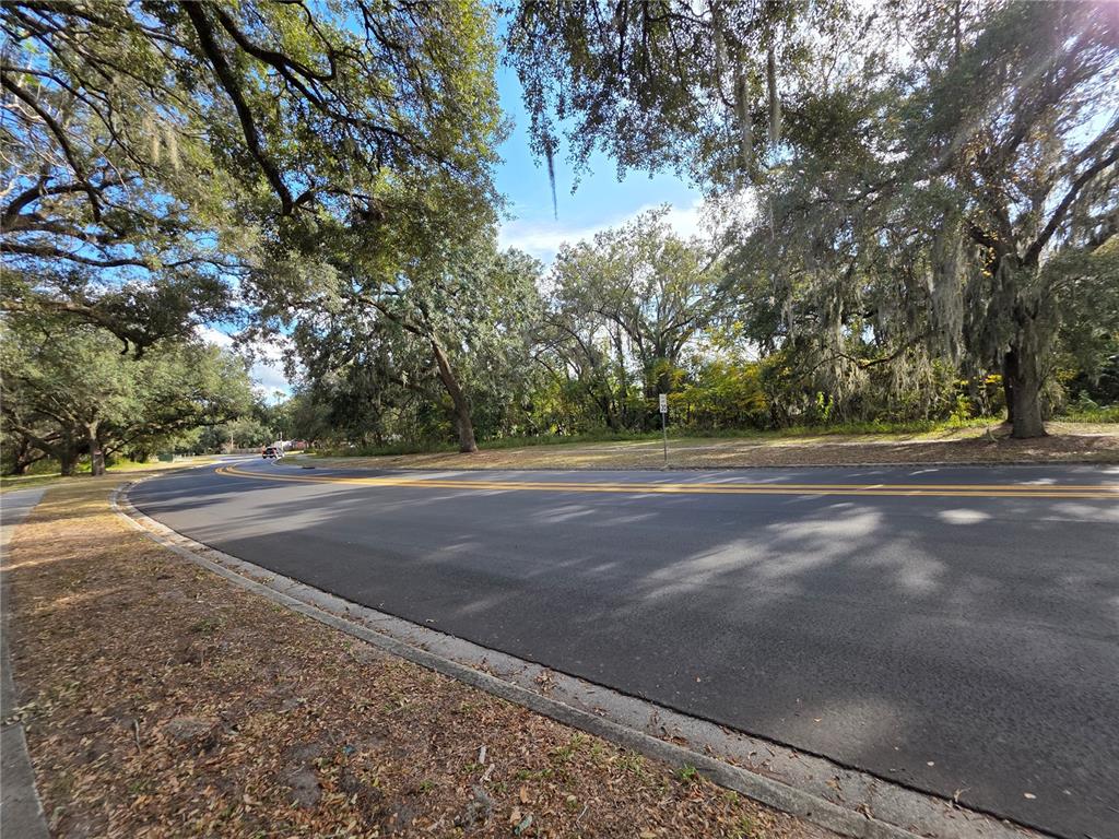 A paved road curves past a wooded area with large trees draped in Spanish moss — 0 MICHIGAN AVENUE, KISSIMMEE, FL