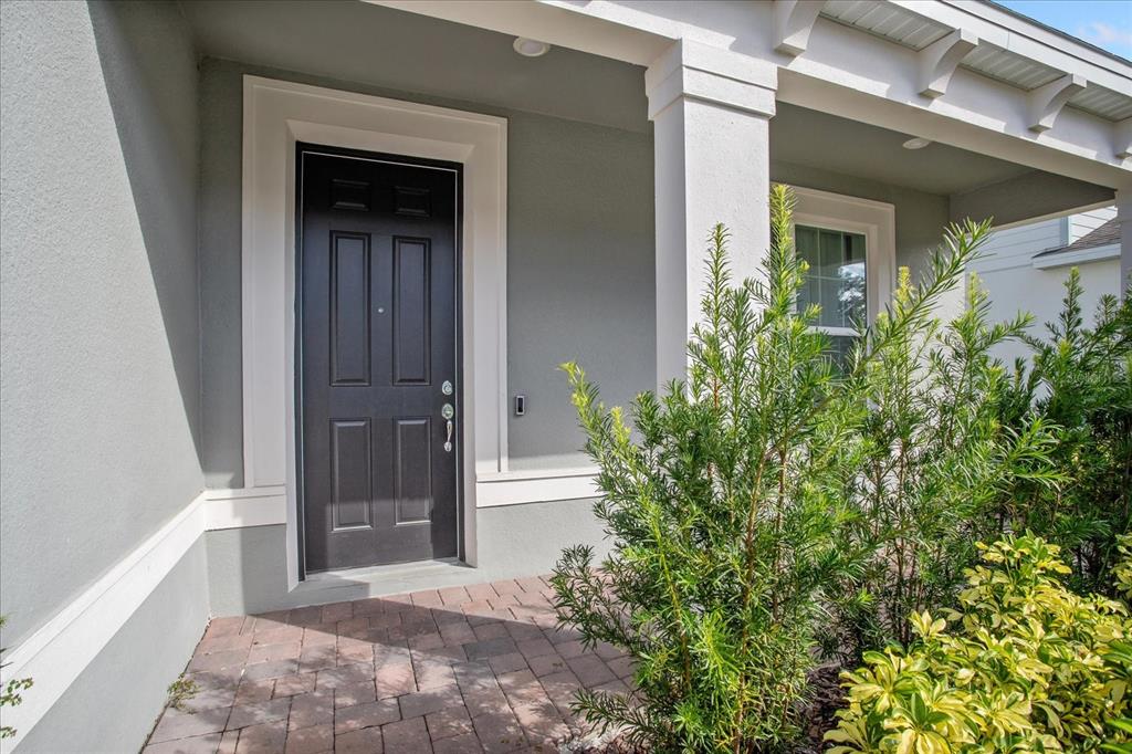 A dark front door with white trim sits on a paved porch with landscaping — 3980 MEANDERING BAY DRIVE, APOPKA, FL