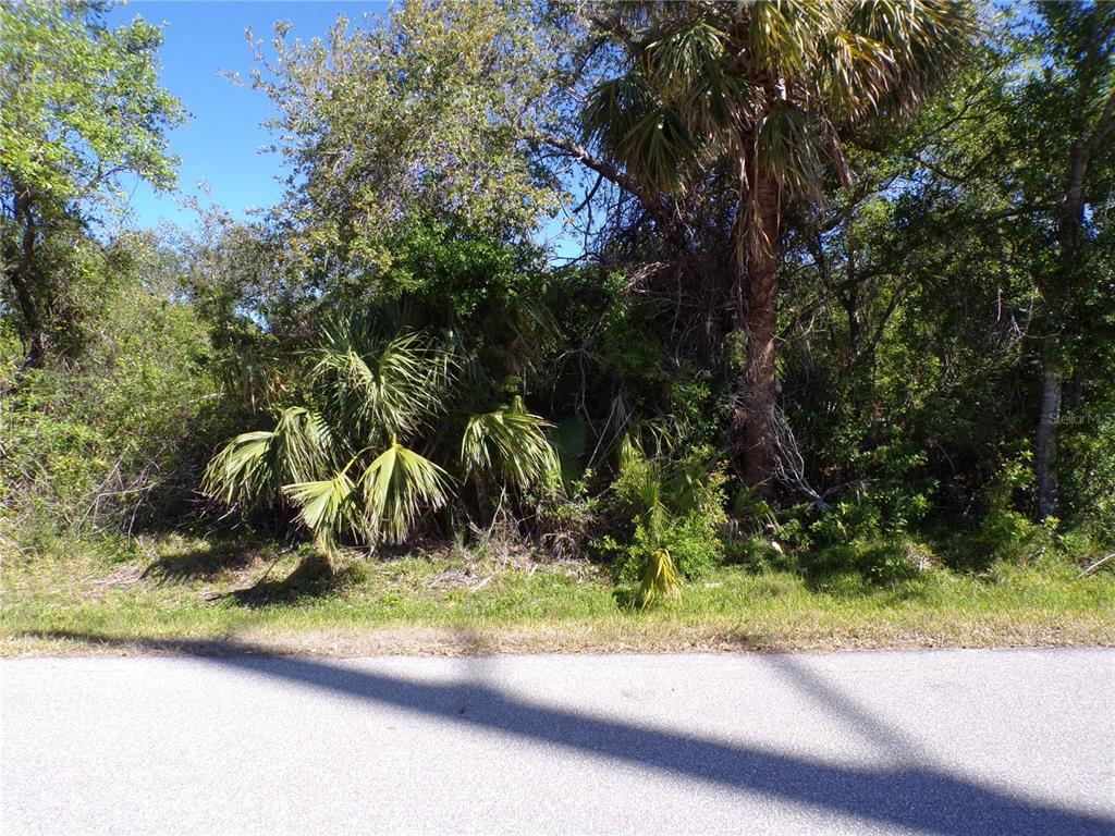 A view of a densely wooded, undeveloped lot from the edge of an asphalt road — 26046 SCHAM ROAD, PUNTA GORDA, FL