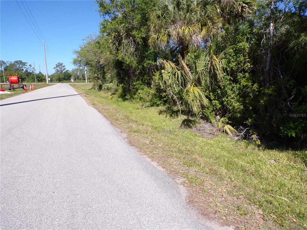 A paved road runs alongside a grassy verge and dense vegetation with palm trees — 26046 SCHAM ROAD, PUNTA GORDA, FL