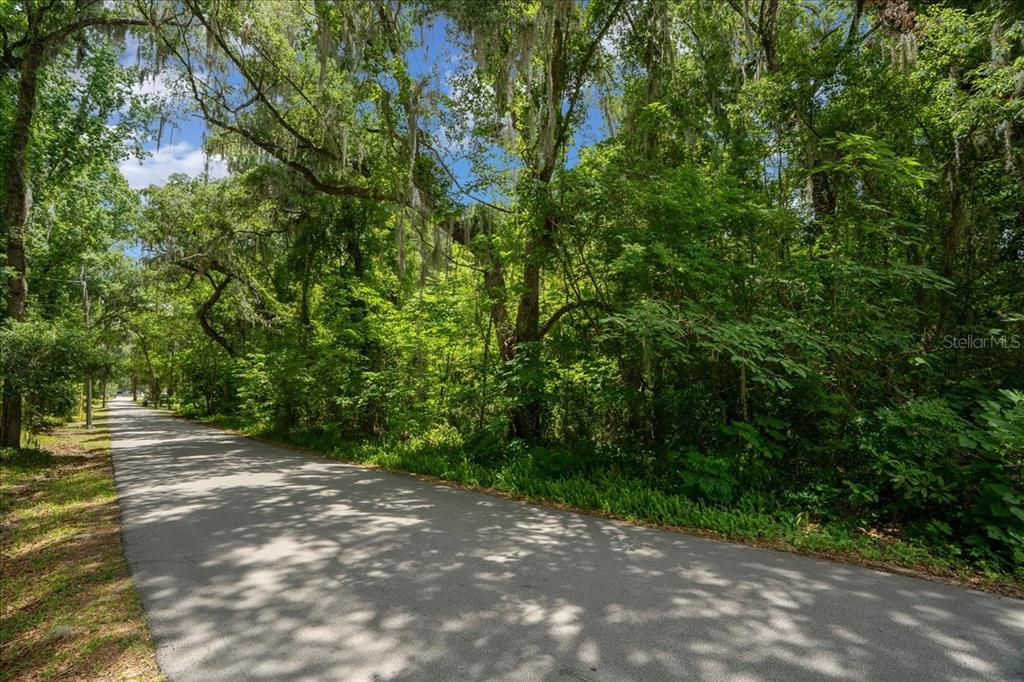 A paved road runs alongside a dense, wooded area with mature trees and hanging moss — 3334 SE 45TH ST, OCALA, FL