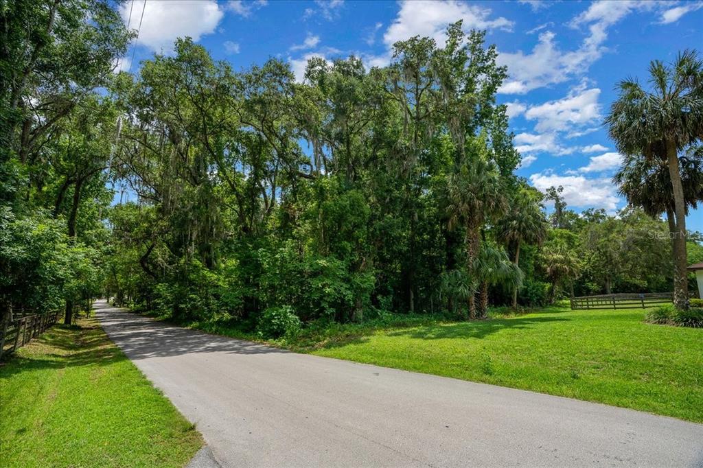 A paved road runs alongside a grassy lawn and a dense line of mature trees — 3334 SE 45TH ST, OCALA, FL