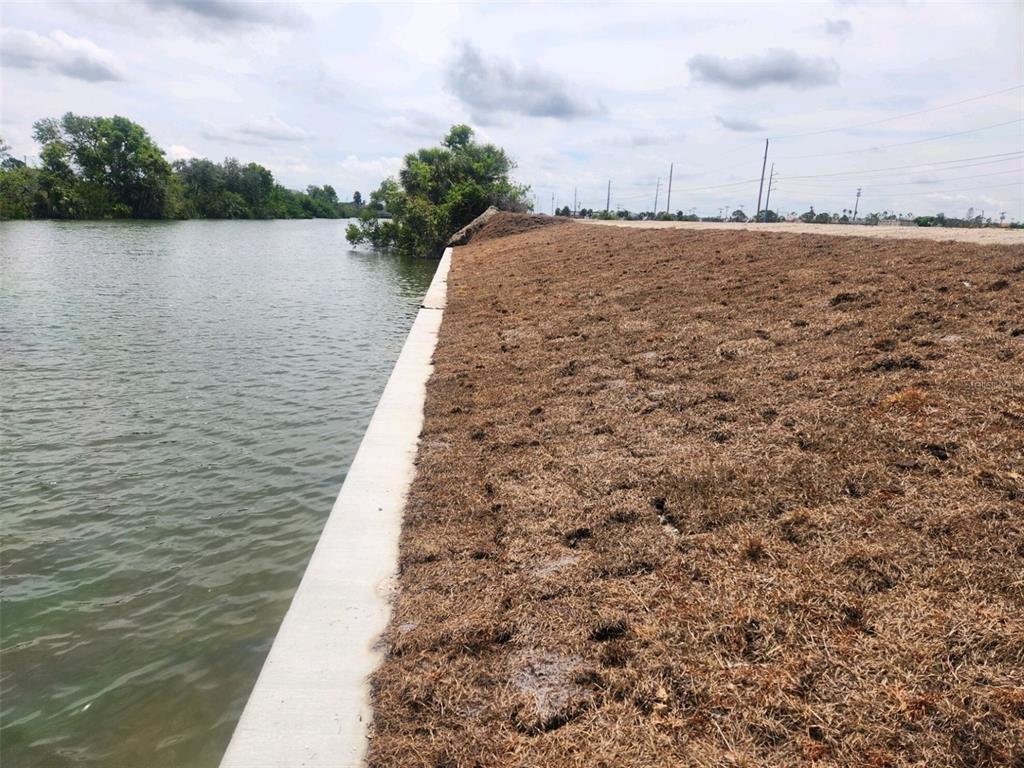A concrete seawall borders a canal next to a large, dry, brown grassy embankment — 1721 NW 8TH TERRACE, CAPE CORAL, FL