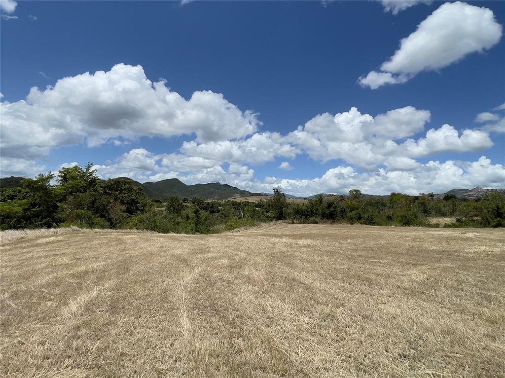 A wide, dry grassy field sits in the foreground before a line of distant mountains — 14 LOS LLANOS WARD, COAMO, PR