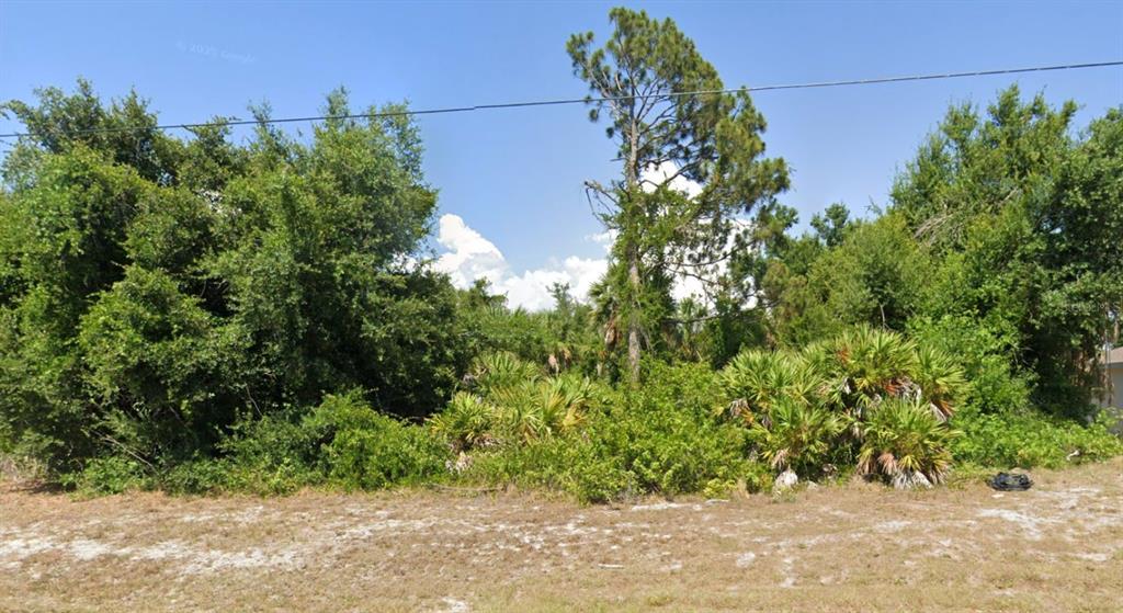 A vacant, wooded lot features dense green trees, shrubs, and palmettos under a blue sky — 107 ANTILLA DRIVE, ROTONDA WEST, FL