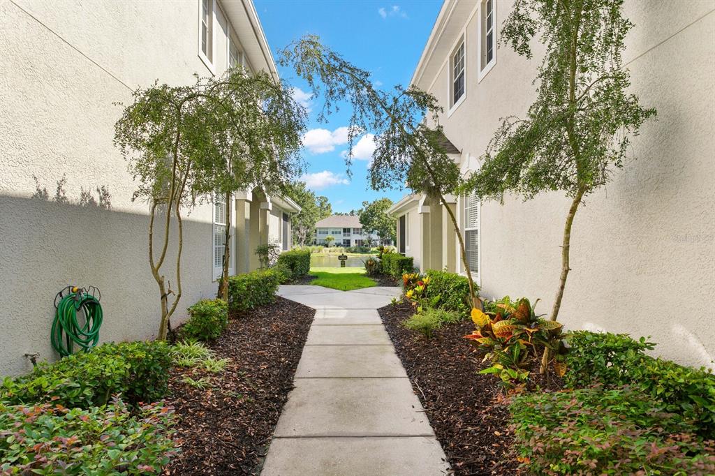 A concrete walkway leads between two residential buildings toward a pond in the distance — 14034 WATERVILLE CIRCLE, TAMPA, FL
