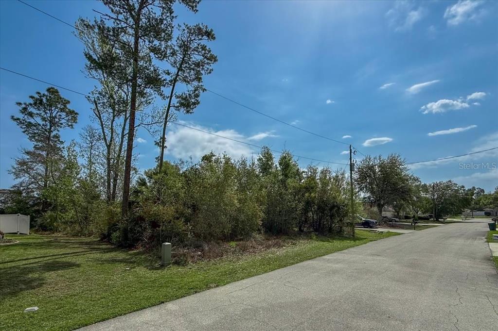 A vacant, tree-covered residential lot sits along a paved suburban street under a blue sky — 95 FREEMONT, PALM COAST, FL