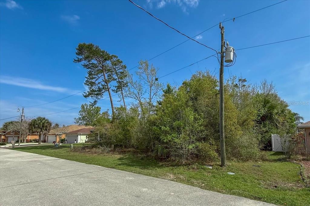 A vacant, tree-covered residential lot sits next to a paved street with utility poles — 95 FREEMONT, PALM COAST, FL