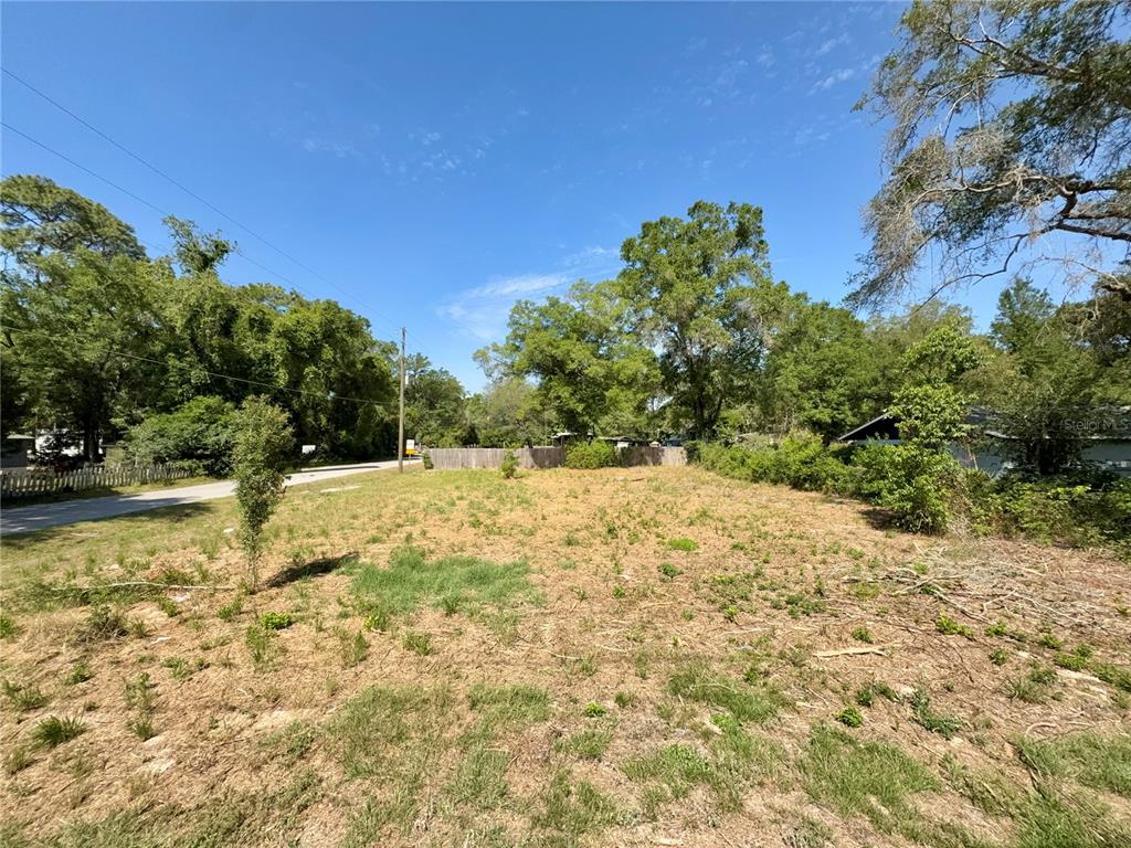 A vacant, grassy lot with scattered trees and a wooden fence in the background — TBD NW 12TH LANE, MORRISTON, FL