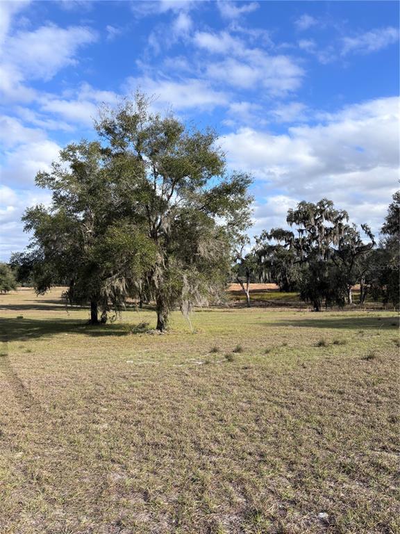 A grassy field features several large oak trees under a blue sky with scattered clouds — TBD NW 127 COURT, OCALA, FL