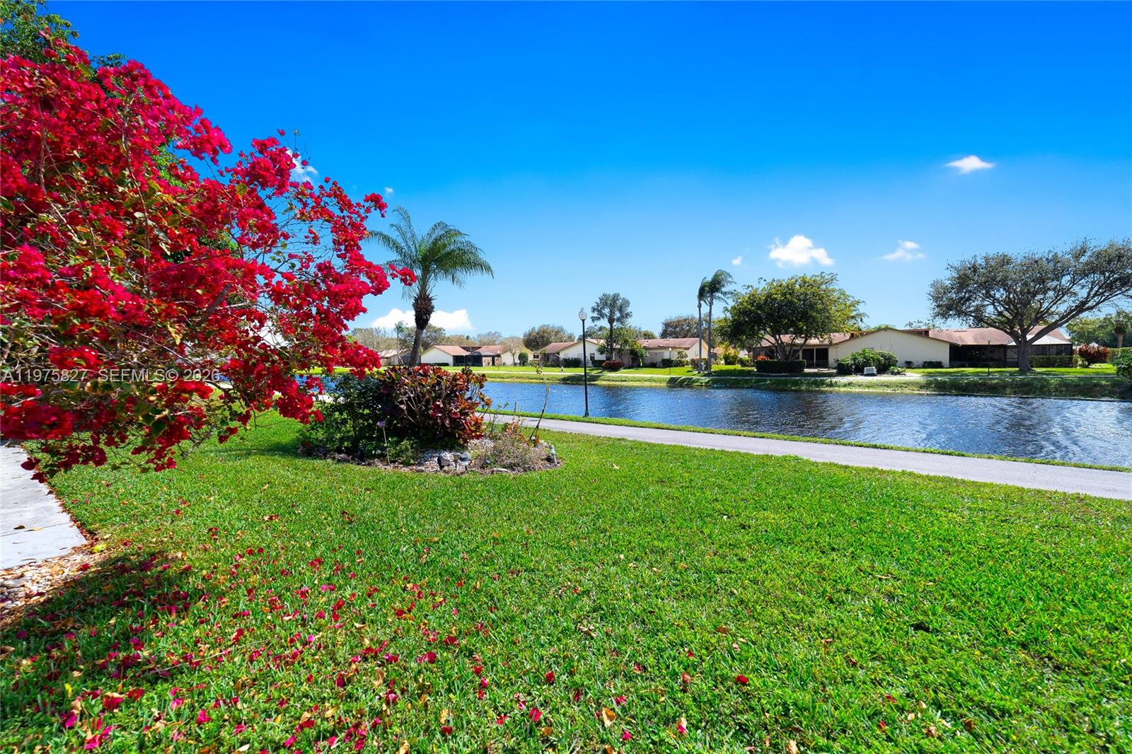 A vibrant bougainvillea bush overlooks a lake with a paved path and distant houses — 3010 NW 12th St # D, Delray Beach FL 33445, DELRAY BEACH, FL