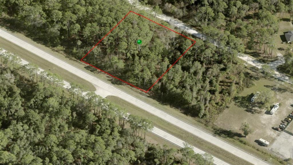 An aerial view shows a wooded, rectangular plot of land outlined in red beside a road — 2546 E INTERNATIONAL SPEEDWAY BOULEVARD, DELAND, FL
