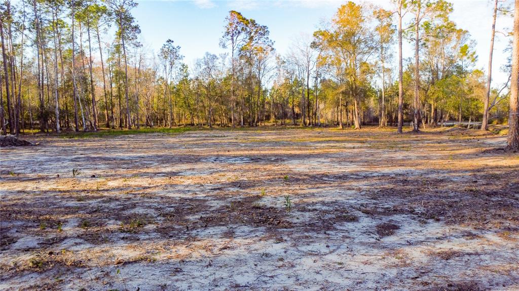 0 STATE ROAD 33, CLERMONT, FL — photo 3 of 27