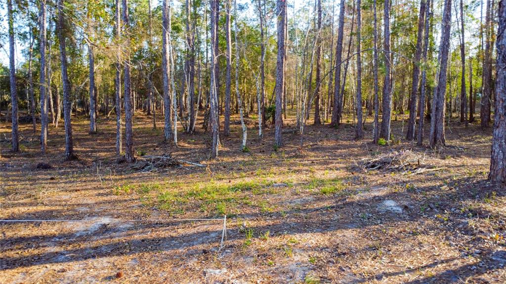0 STATE ROAD 33, CLERMONT, FL — photo 4 of 27