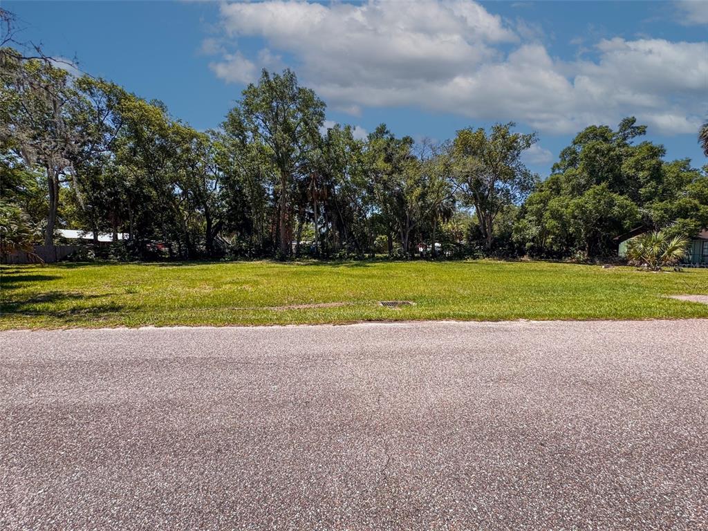 A vacant, grassy residential lot is bordered by mature trees and an asphalt street — Lot 00200 LENORD STREET, UMATILLA, FL