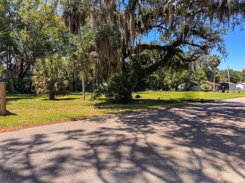 A grassy, tree-lined vacant lot sits adjacent to a paved road on a sunny day — Lot 00200 LENORD STREET, UMATILLA, FL