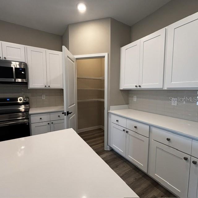 A kitchen features white cabinets, quartz countertops, stainless steel appliances, and an open pantry door — 7 SERVICE BERRY PLACE, PALM COAST, FL