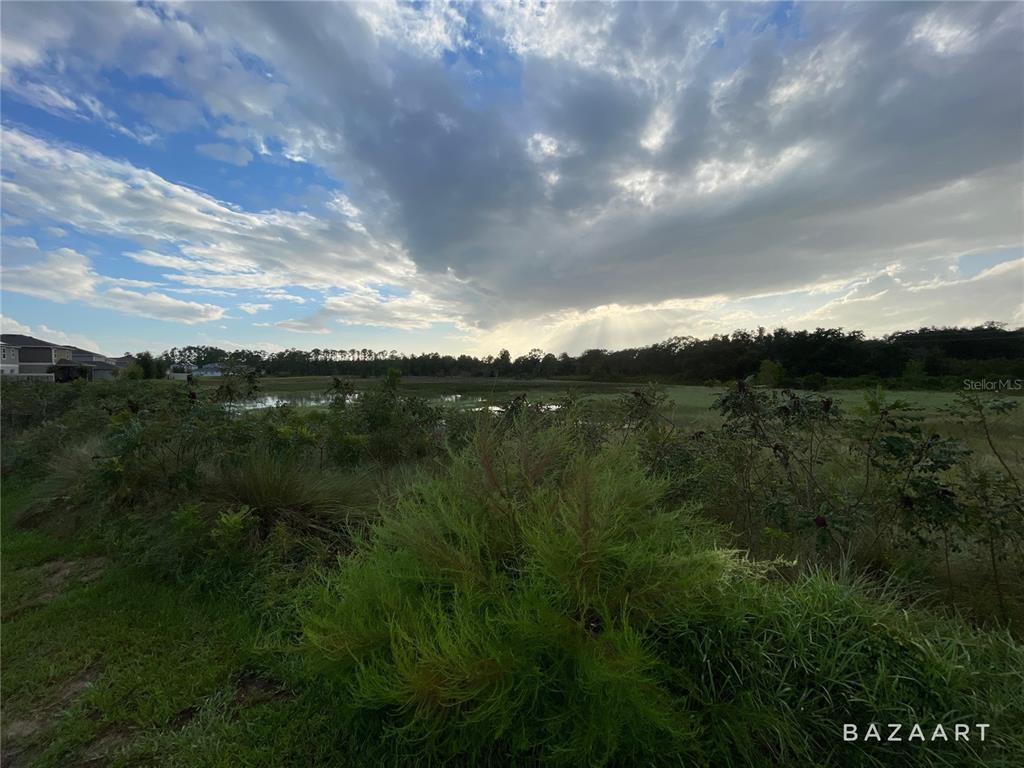 A view of a grassy lot with a pond and trees under a cloudy sky — 1441 SAWGRASS HAMMOCK LANE, DAVENPORT, FL