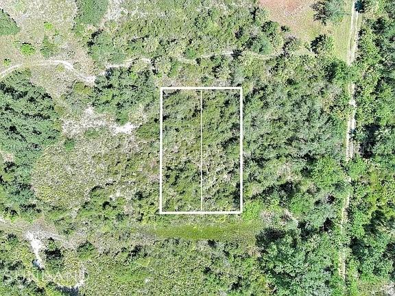 An aerial view shows a rectangular plot of land outlined in white amidst wooded terrain — 1353 WALLAROO COURT, PUNTA GORDA, FL