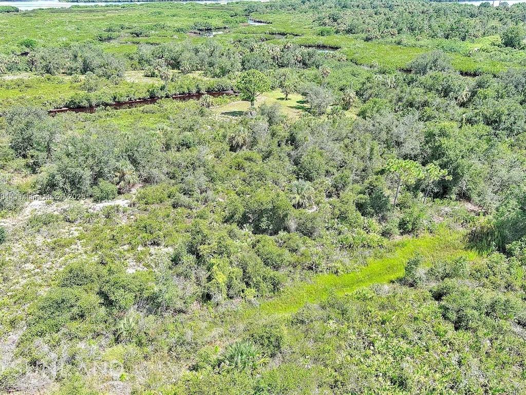 An aerial view of a dense, undeveloped wooded landscape with patches of green vegetation — 1353 WALLAROO COURT, PUNTA GORDA, FL