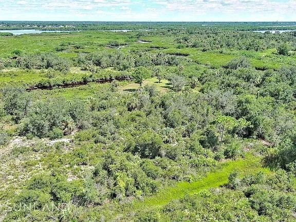 An aerial view shows a vast, undeveloped landscape with dense green vegetation and a small creek — 1353 WALLAROO COURT, PUNTA GORDA, FL