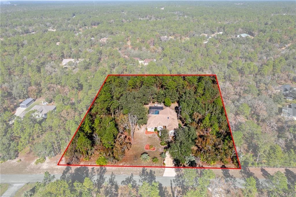 An aerial view shows a house with a pool surrounded by trees on a lot — 3135 N BUCKHORN DRIVE, BEVERLY HILLS, FL