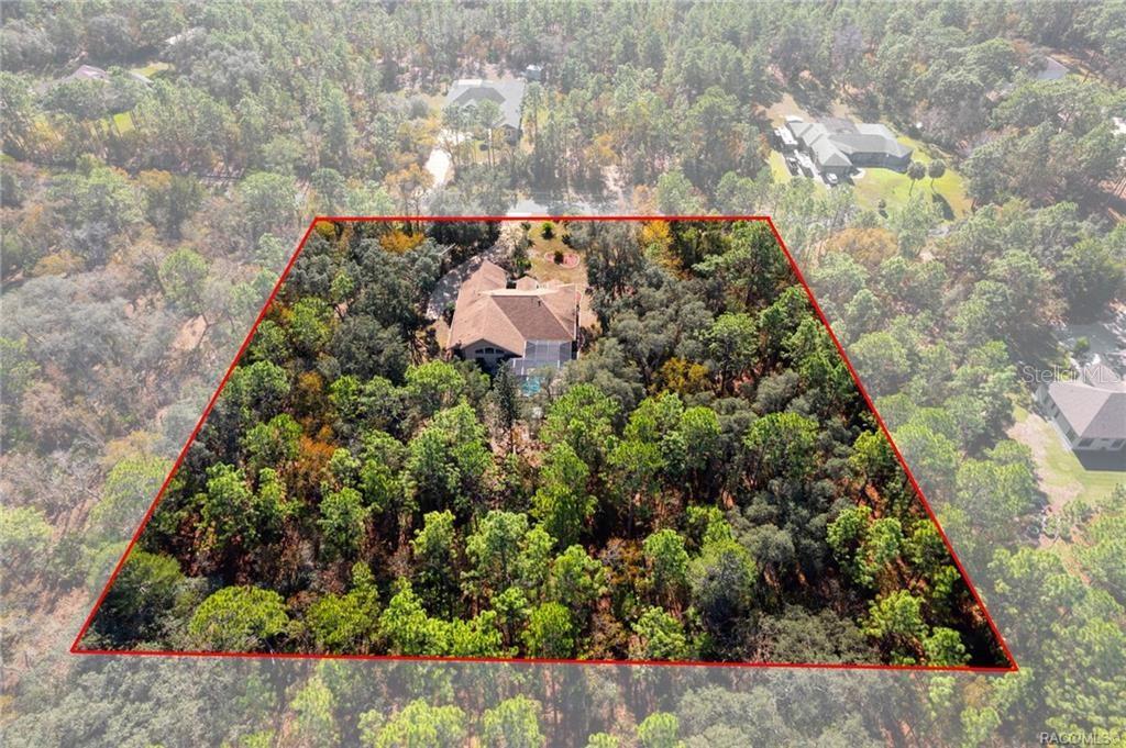 An aerial view shows a house with a pool situated on a wooded lot — 3135 N BUCKHORN DRIVE, BEVERLY HILLS, FL