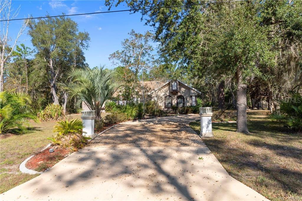 A concrete driveway leads to a single-story house surrounded by trees and landscaping — 3135 N BUCKHORN DRIVE, BEVERLY HILLS, FL