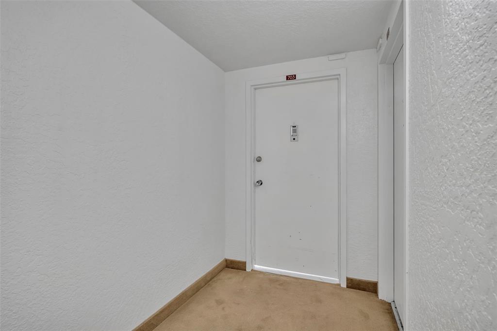 A white apartment door labeled 703 is situated at the end of a carpeted hallway — 2900 N ATLANTIC AVENUE NW UNIT 703, DAYTONA BEACH, FL