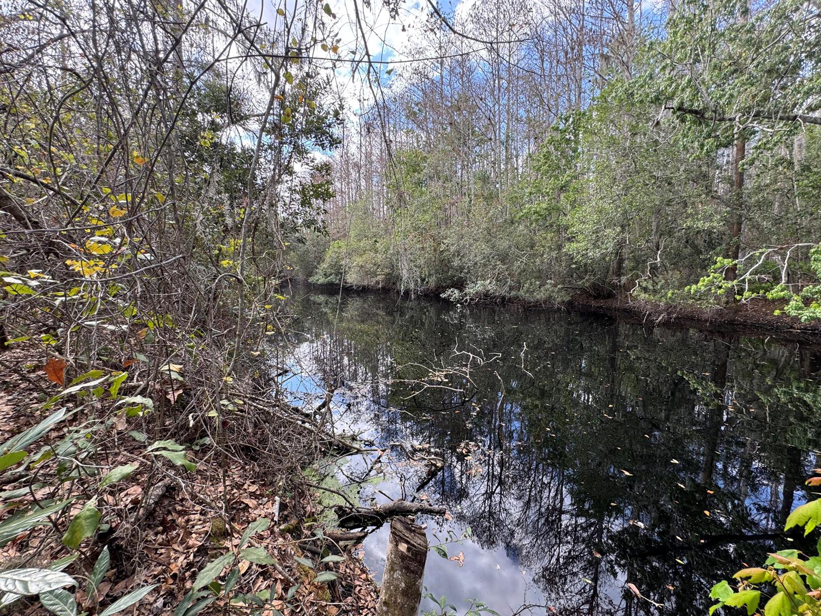 A narrow, dark creek flows through a dense forest with reflections of trees and sky — 000 1st Street, FL 34739, FL
