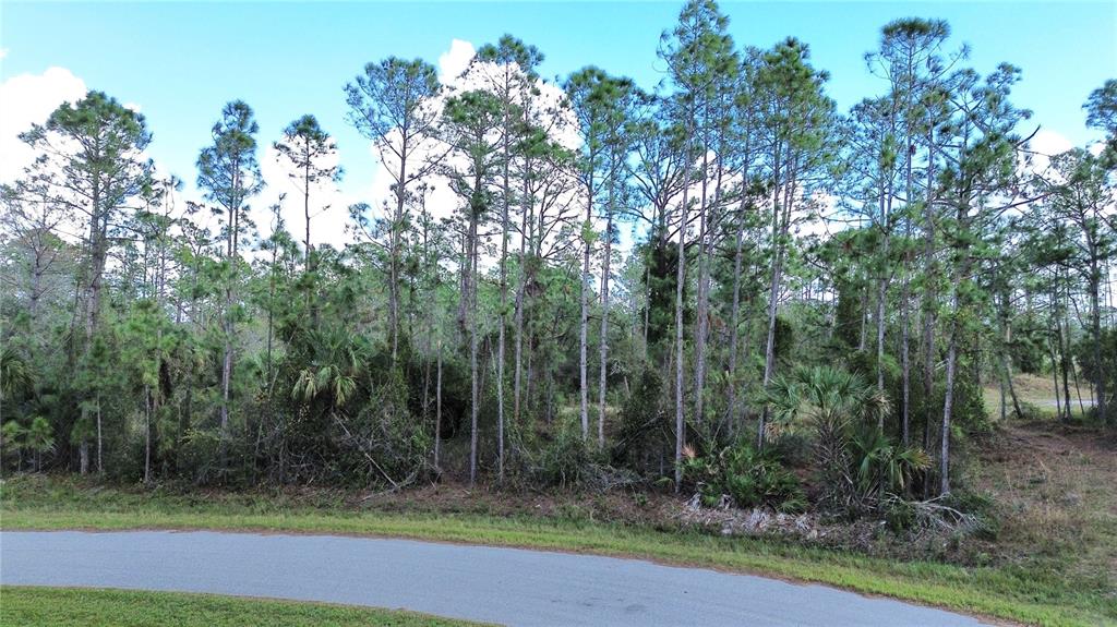 A paved road curves in front of a wooded lot filled with tall pine trees — Lots 14 and 15, LATOUR AVENUE, NORTH PORT, FL