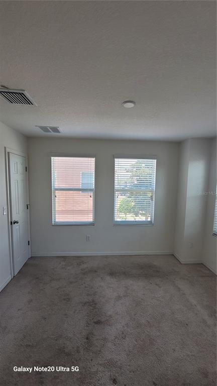An empty bedroom with beige carpet, two windows with blinds, and a white door — 7005 TOWERING SPRUCE DRIVE, RIVERVIEW, FL