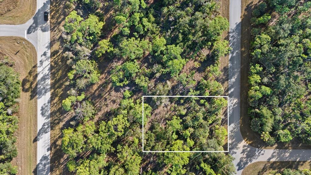 An aerial view shows a rectangular plot of land outlined in white amidst wooded terrain — 1316 SHAKE STREET, PORT CHARLOTTE, FL