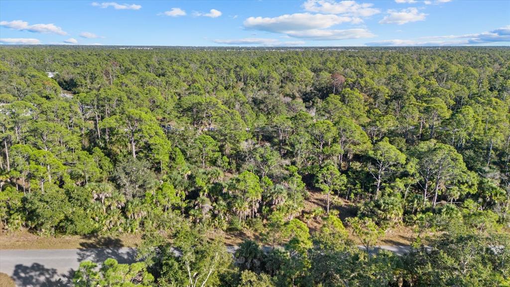 An aerial view shows a dense, wooded forest lot adjacent to a paved road — 1316 SHAKE STREET, PORT CHARLOTTE, FL
