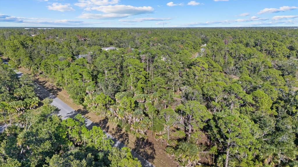 An aerial view shows a paved road winding through a dense, wooded residential lot — 1316 SHAKE STREET, PORT CHARLOTTE, FL