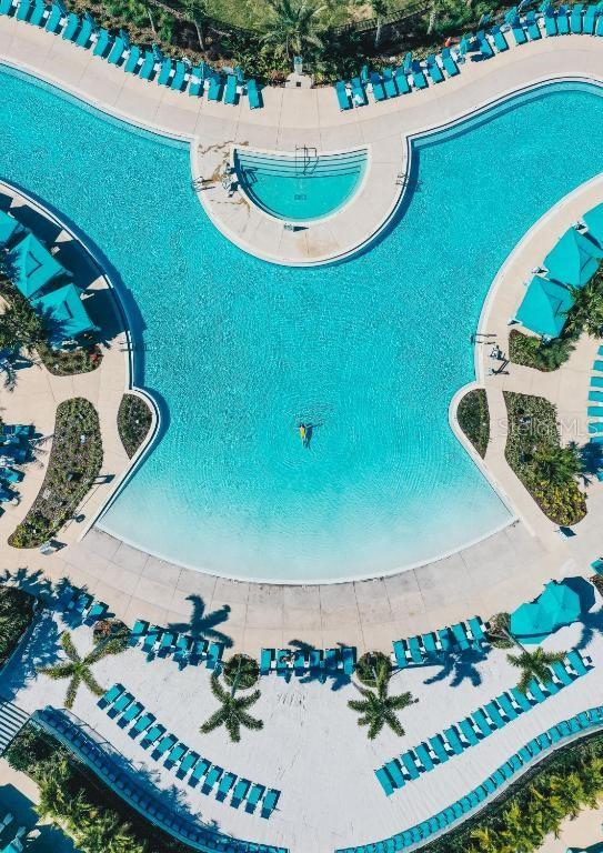 An aerial view of a large, curved swimming pool surrounded by lounge chairs and palm trees — 8075 KNEE DEEP ROAD, KISSIMMEE, FL