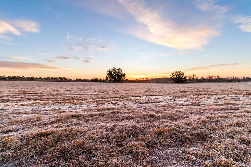 A wide, frost-covered field stretches toward a distant tree line under a sunrise sky — 4240 ROYAL SKY (LOT 6) COURT, BROOKSVILLE, FL