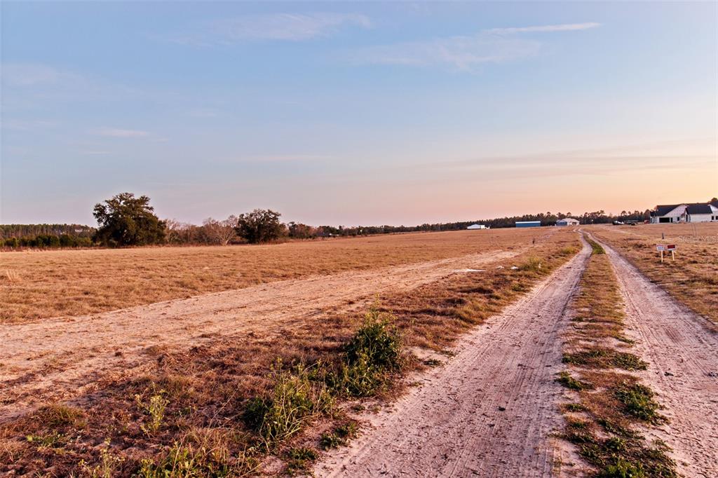 A dirt path runs through a large, flat, grassy field under a clear sky — 4240 ROYAL SKY (LOT 6) COURT, BROOKSVILLE, FL