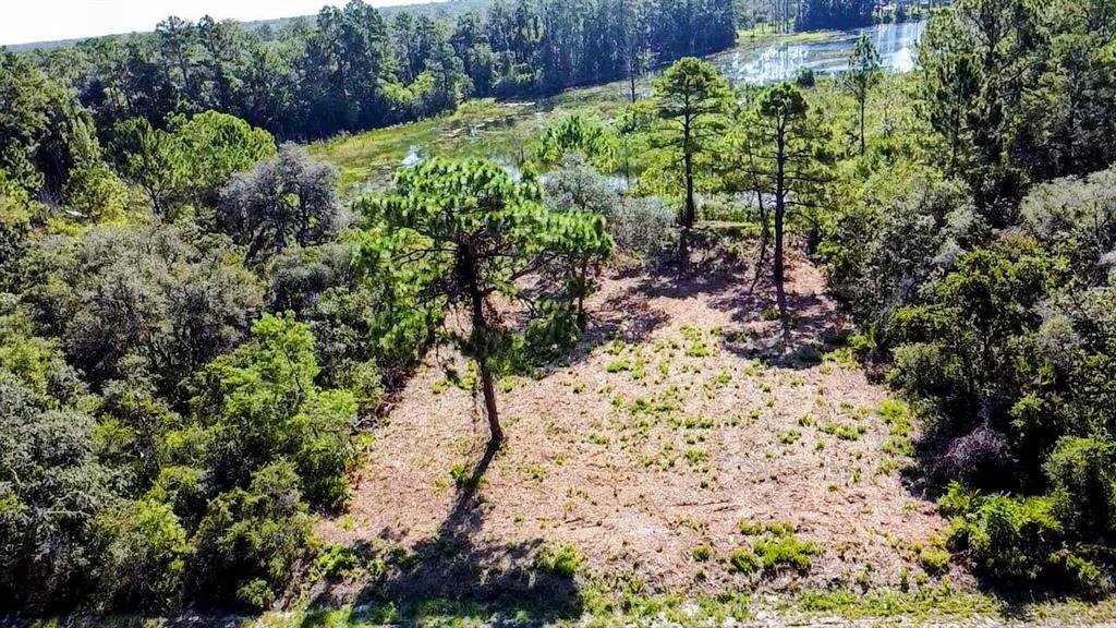 An aerial view shows a cleared rectangular lot surrounded by dense trees and a small pond — 0 MALAUKA PASS, OCKLAWAHA, FL