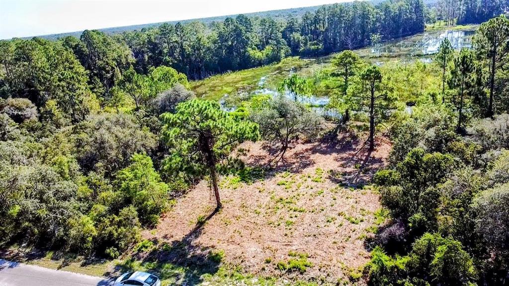 An aerial view shows a cleared, grassy lot bordered by dense trees and a small pond — 0 MALAUKA PASS, OCKLAWAHA, FL