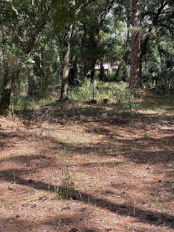 THUNDERHEAD STREET, WESLEY CHAPEL, FL — photo 2 of 3