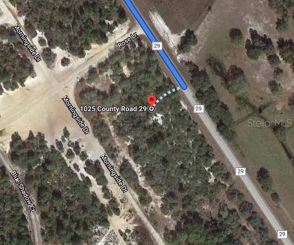 This is a satellite map view showing a wooded lot near a road intersection — 1025 COUNTY ROAD 29, LAKE PLACID, FL