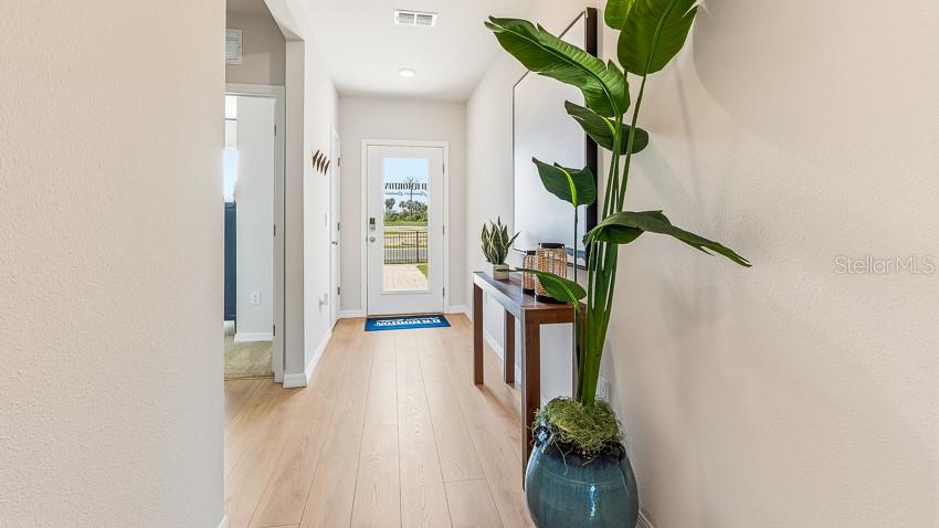 An entryway features light wood flooring, a console table, a potted plant, and a front door — 2027 VANDALIA PLACE, PARRISH, FL