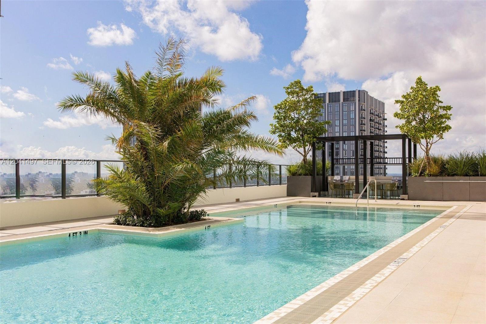 A rooftop swimming pool features a palm tree, a pergola, and a modern high-rise building — 11 NE 6th St # 807, Miami FL 33132, MIAMI, FL