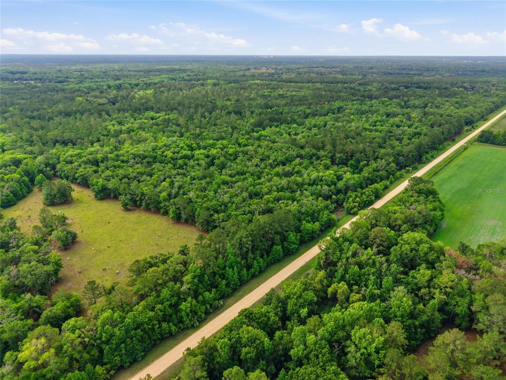An aerial view shows a dirt road separating a grassy pasture from a dense forest — TBD NW 91ST STREET, ALACHUA, FL