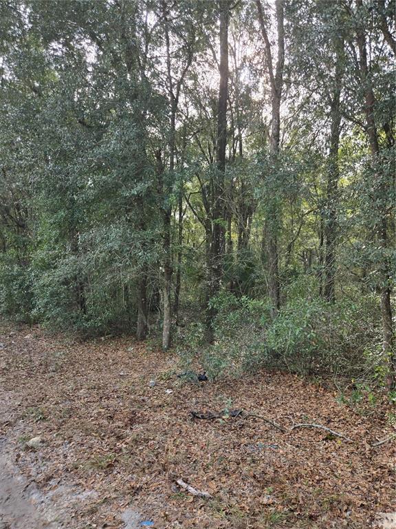 NE 163RD PLACE, CITRA, FL — photo 2 of 2