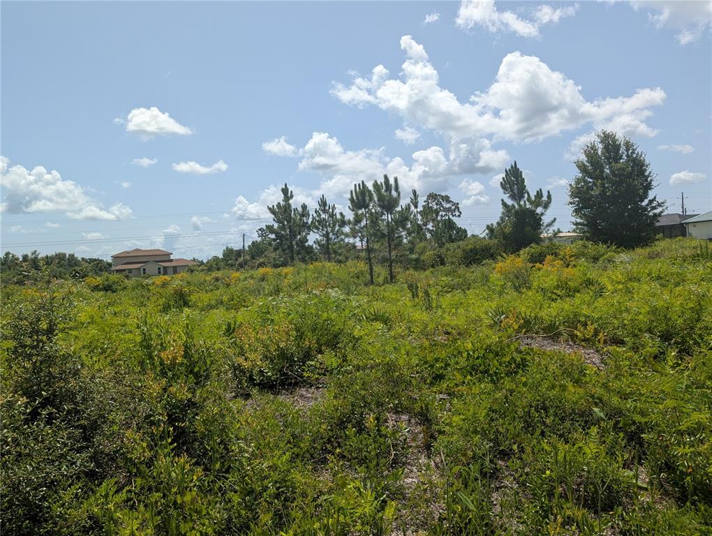 An asphalt road runs alongside a grassy area with trees and a blue sky — 96 DESOTO AVENUE, INDIAN LAKE ESTATES, FL