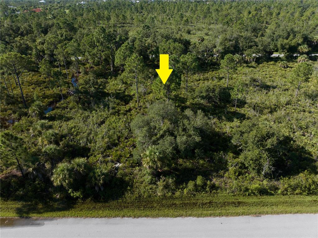 An aerial view shows a wooded, undeveloped lot bordering a paved road — 13211 CHIMINIELLO DRIVE, PORT CHARLOTTE, FL