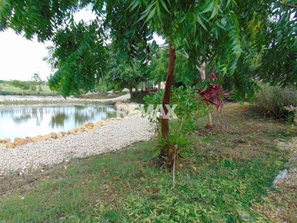 PU — photo 4 of 6