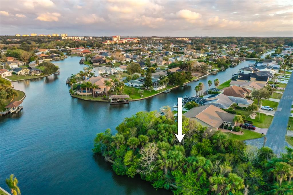 An aerial view shows a wooded waterfront lot marked by a white arrow — 44 CLOVERDALE COURT N, PALM COAST, FL
